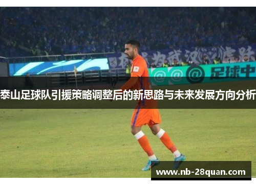 泰山足球队引援策略调整后的新思路与未来发展方向分析