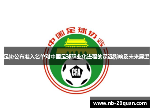 足协公布准入名单对中国足球职业化进程的深远影响及未来展望