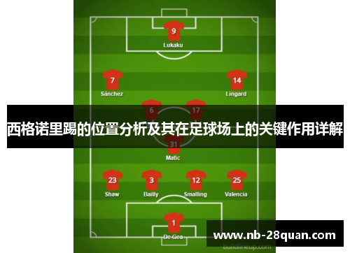 西格诺里踢的位置分析及其在足球场上的关键作用详解 西格诺里踢的位置分析及其在足球场上的关键作用详解